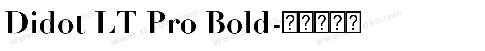 Didot LT Pro Bold字体转换